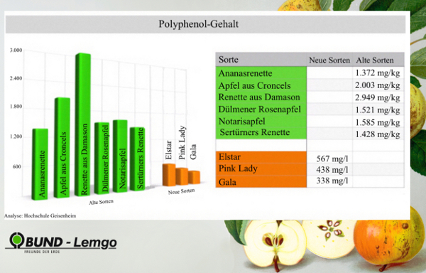 Alte Apfelsorten haben einen sehr hohen Polyphenolgehalt