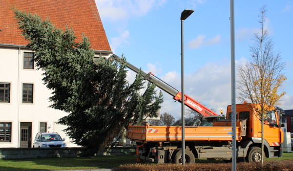 Weihnachtsbäume aufgestellt