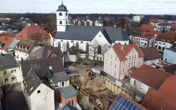 Baumstämme aus der Eiszeit gefunden