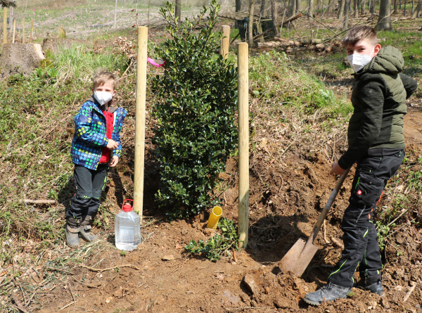 Kinder pflanzten den Baum des Jahres