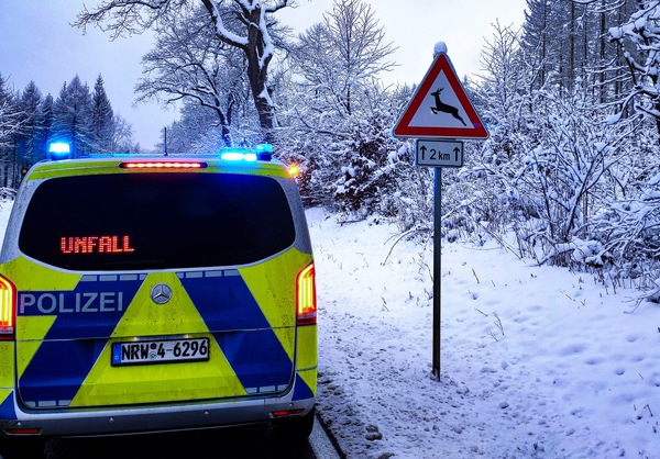 Wildunfälle: Polizei bittet um Vorsicht