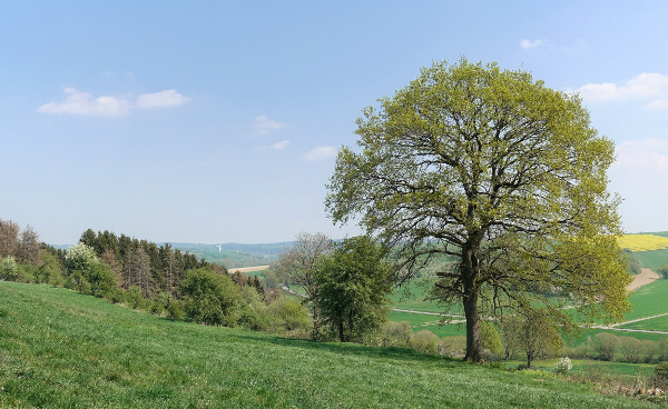 Landschaftsplan Altenbeken ist in Kraft getreten