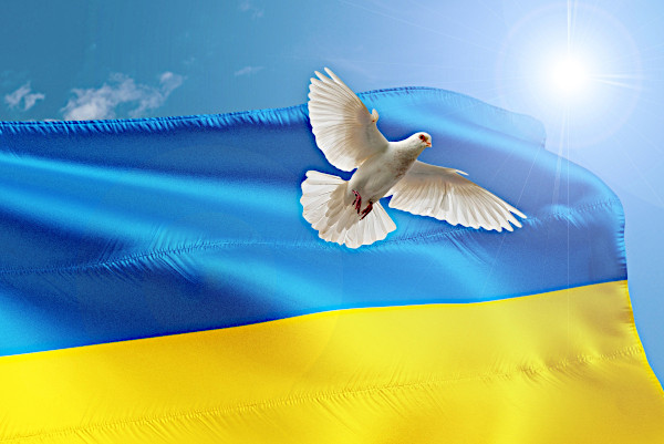 Finanzielle Unterstützung für Debrecen