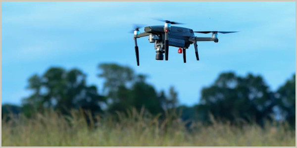 Wildrettung mit Drohne zum Schutz der Jungtiere