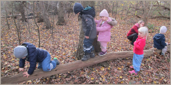 Glückspilze beenden Gesundheitsprojekt Glückspilze beenden Gesundheitsprojekt